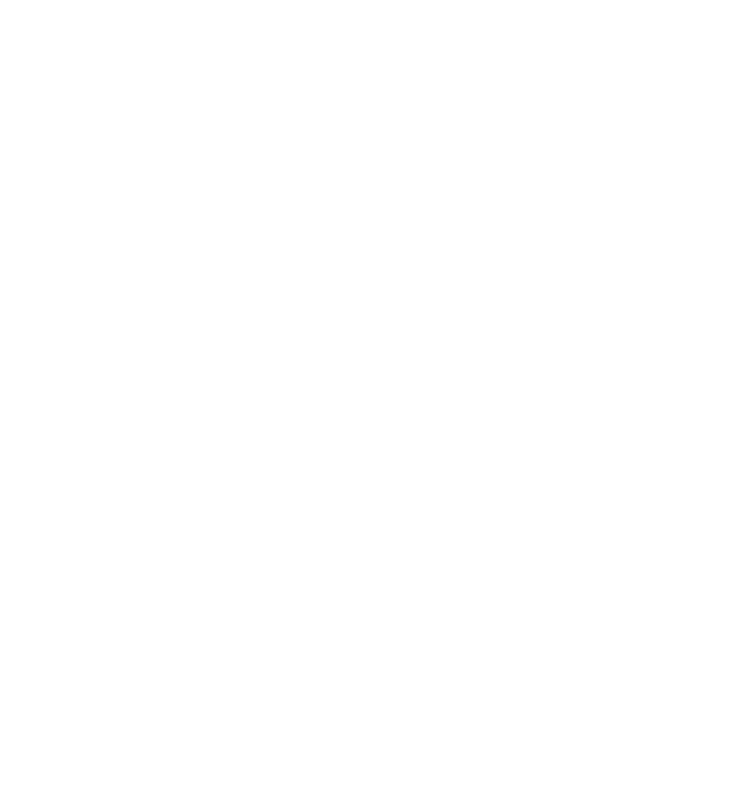 小規模精鋭・迅速・正確